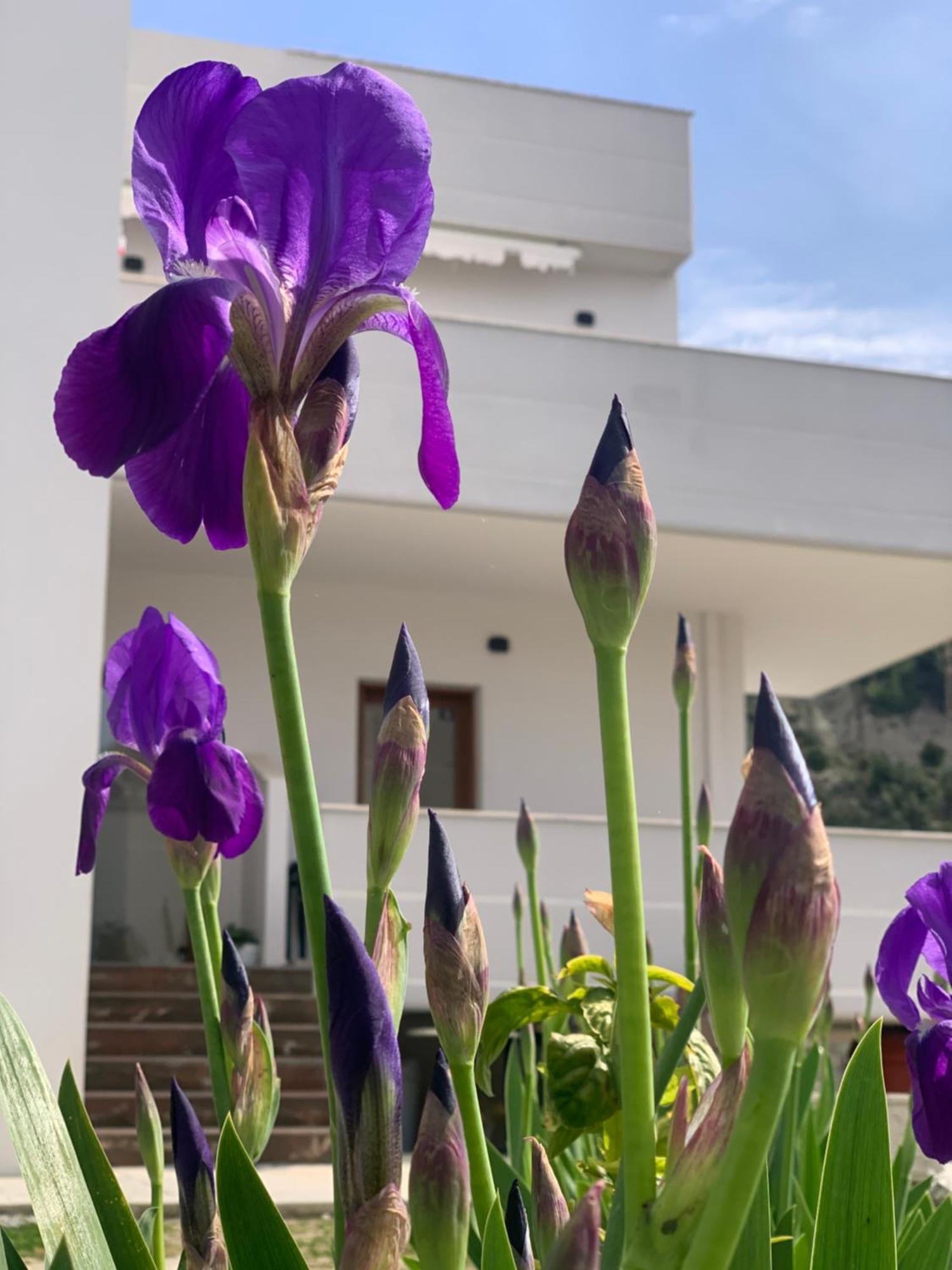 Villa Rreze Dielli Vlorë Exterior foto